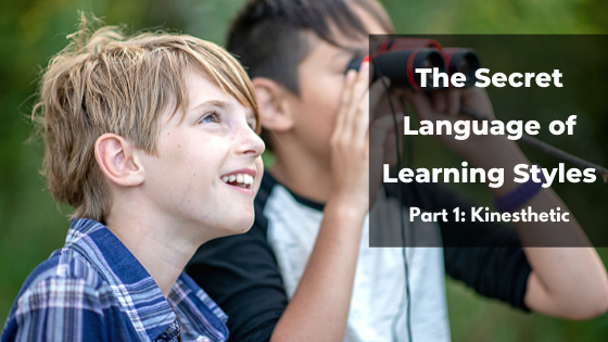 the different language of learning styles 
